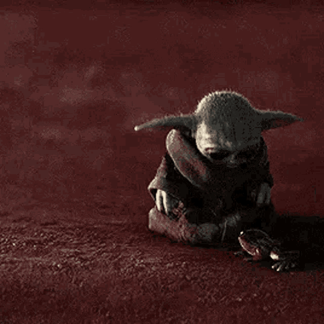 the child from star wars is standing next to a frog on the ground .