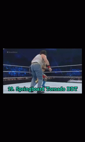 Springboard Tornado Ddt Wrestling Moves GIF - Springboard Tornado Ddt Wrestling Moves Wrestlers GIFs