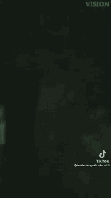 a blurred image of a person in a green dress standing in the dark .