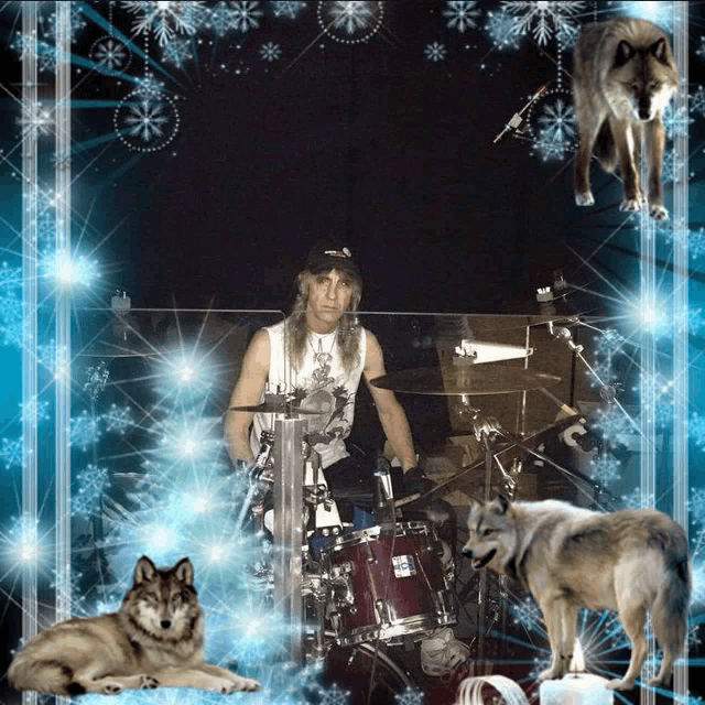 a man playing drums in front of two wolves and a christmas tree
