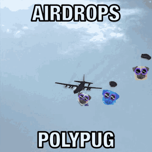 a picture of pugs flying through the air with the words airdrops polypug below them