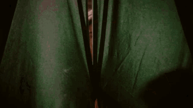 a young man is standing in front of a green curtain and looking at the camera .