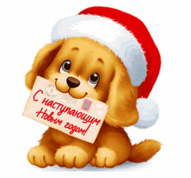 a puppy wearing a santa hat is holding a card that says " с наступающим новым годом "