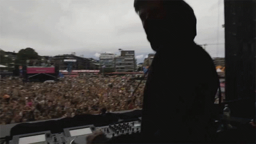 Excited Alan Walker GIF - Excited Alan Walker Being A Dj GIFs