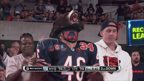 Bears Fan GIF - Bears Chicago Bears Costume GIFs