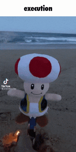 Toad Super Mario GIF - Toad Super Mario Execution GIFs