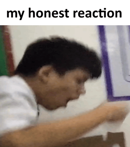 My Honest Reaction GIF - My Honest Reaction GIFs