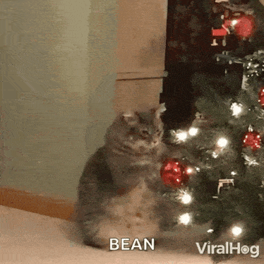 Kitty Claws Christmas Tree Cat Playing With Christmas Tree GIF - Kitty Claws Christmas Tree Cat Playing With Christmas Tree Cat Playing GIFs