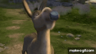 shrek petting a donkey in a field with make a gif.com in the corner