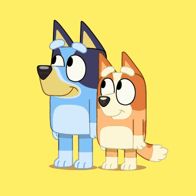 a blue and orange dog standing next to each other