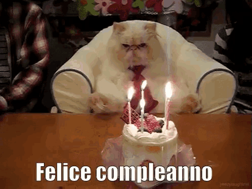 a cat wearing a tie is sitting in front of a birthday cake with candles