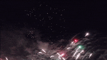 a bunch of fireworks are going off in the dark sky