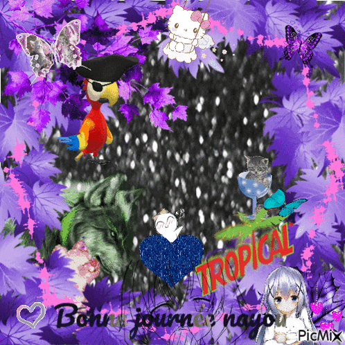 a tropical greeting card with a pirate parrot and a wolf