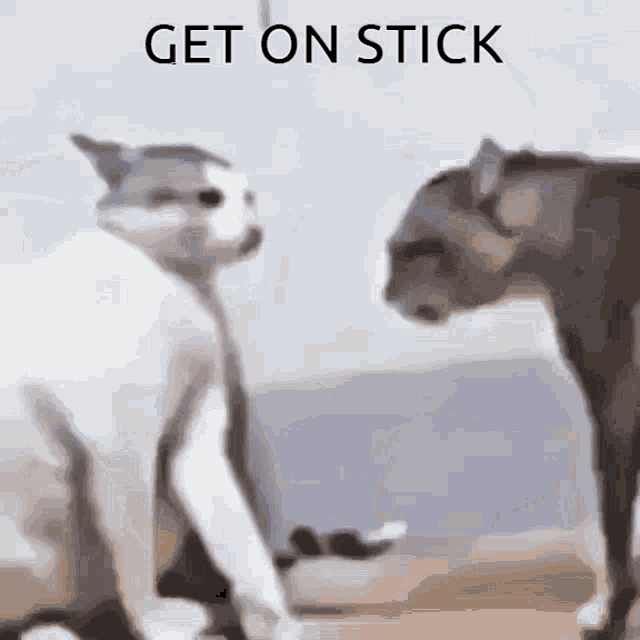 Sh Stick GIF - Sh Stick GIFs