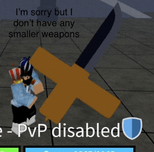 a screenshot of a video game that says pvp disabled on the bottom