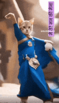 a cat in a blue dress is dancing in front of a sign that says ' anjusingh '