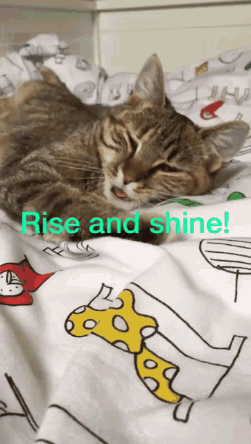 Wakey Wakey Rise And Shine GIF - Wakey Wakey Rise And Shine Wake Up GIFs