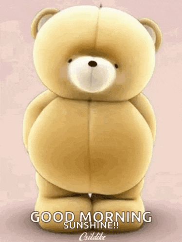 a teddy bear is standing on its hind legs and says good morning sunshine !
