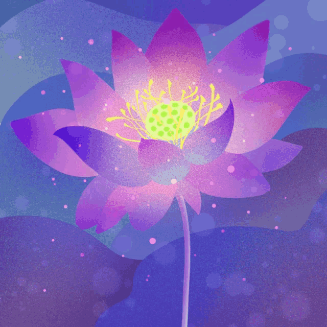 a purple lotus flower with a yellow center on a purple background