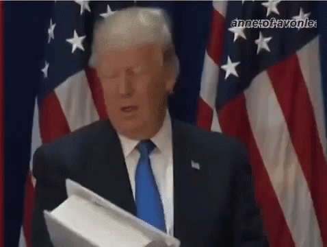 Trump Reading GIF - Trump Reading Book GIFs