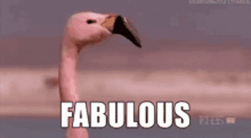 Fabulous Absolutely GIF - Fabulous Absolutely Flamingo GIFs