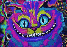 Trippy Cat GIF - Trippy Cat Acid GIFs