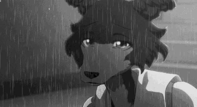 a black and white photo of a dog standing in the rain .