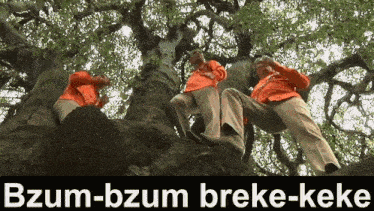 three men in orange shirts are sitting in a tree with the words bzum-bzum breke-keke on the bottom