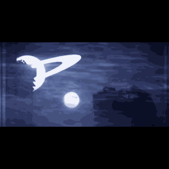 a silhouette of a shark flying in the night sky
