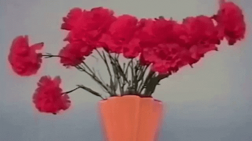 Withering Flowers Mae Muller GIF - Withering Flowers Mae Muller Flowers GIFs