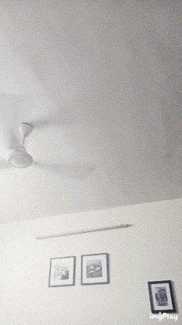 a man with a beard is looking up at a ceiling fan in a room