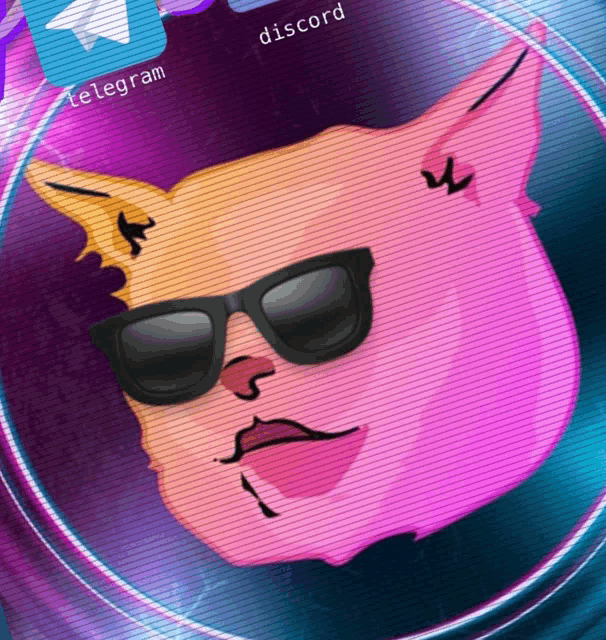 a cartoon cat wearing sunglasses and a telegram icon