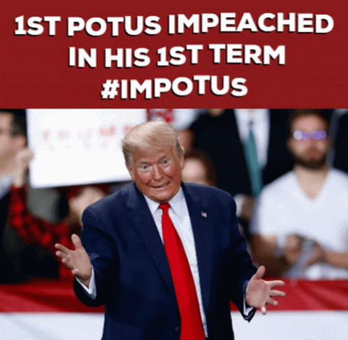 Loser Trump GIF - Loser Trump Impeached GIFs