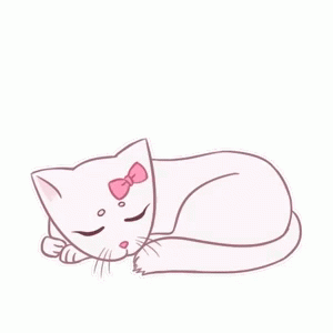 Cat Sleep GIF - Cat Sleep Sleeping GIFs