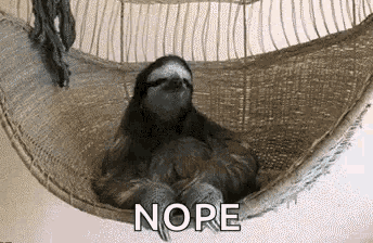 Funny Animals Nope GIF - Funny Animals Nope Sloth GIFs
