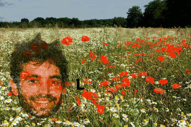 a picture of a man in a field of flowers with the letter l on the bottom