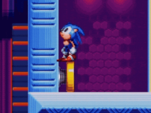 sonic the hedgehog and tails the fox are playing a video game together .