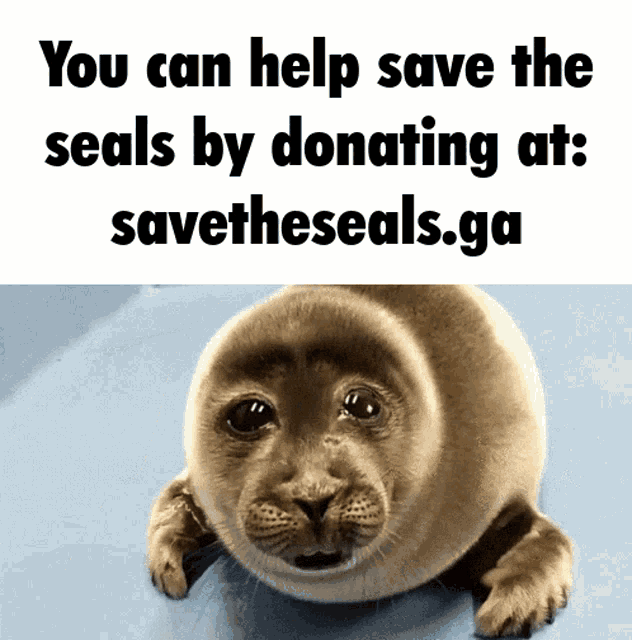 Save The GIF - Save The Seals GIFs