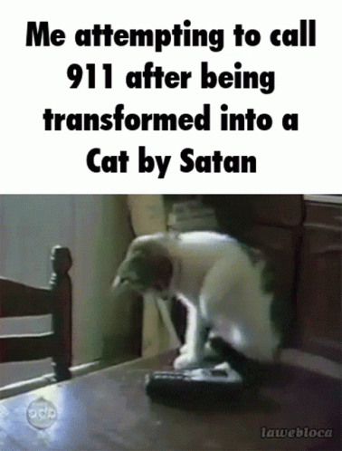 Cat Funny Cats GIF - Cat Funny Cats Satan GIFs