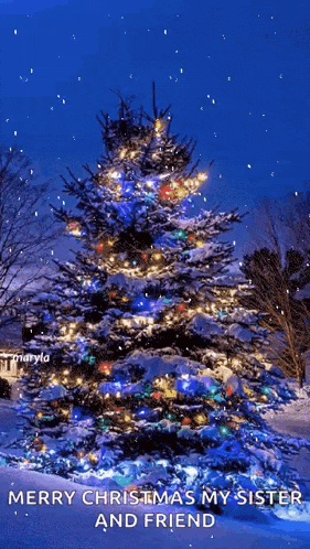 a christmas tree is covered in snow and says merry christmas my sister and friend .