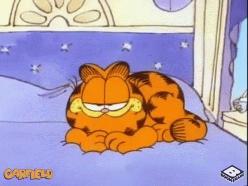 Sleep Time Garfield GIF - Sleep Time Garfield Nap Time GIFs
