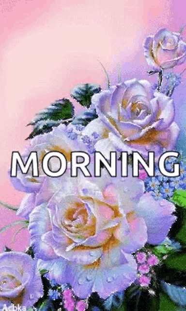 a bouquet of purple and white roses with the words `` morning '' written above them on a pink background .