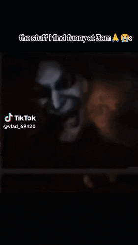 a tiktok video that says the stuff i find funny at 3am on it