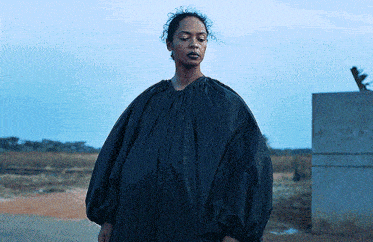 a woman wearing a black dress with balloon sleeves stands in a field