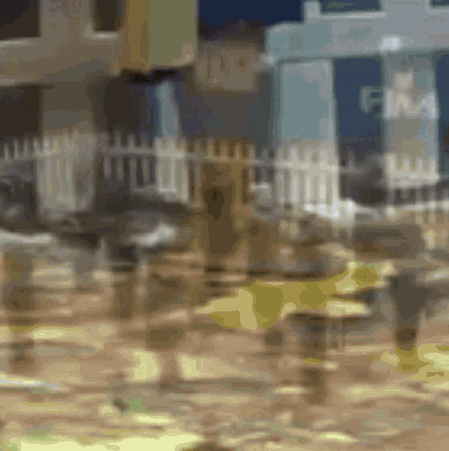 a blurry picture of a fence and a building with the word fifa on it