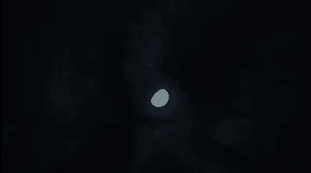 a full moon is visible in the dark night sky .