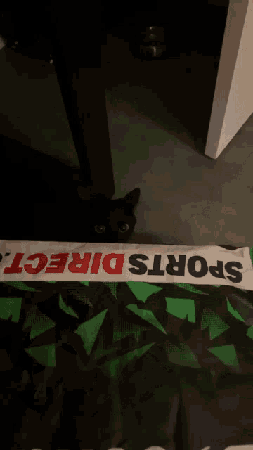 a black cat laying on the floor next to a banner that says sports direct