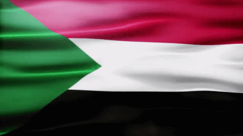 Sudan Flag Gif GIF - Sudan Flag Gif Africa GIFs