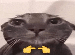 a close up of a cat 's face with two thumbs up emojis on its face .