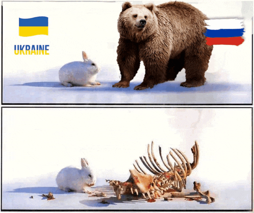 a picture of a bear and a rabbit with ukraine written on the top